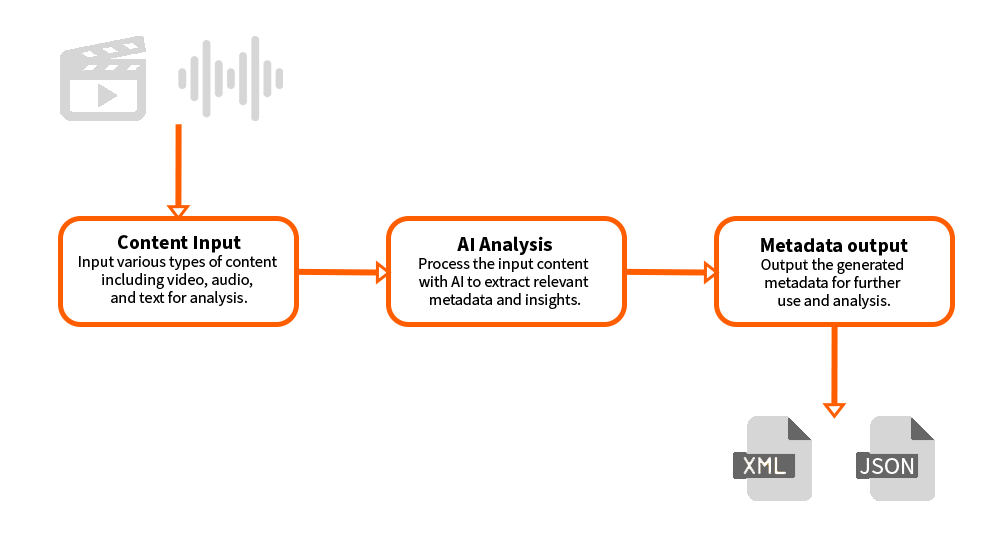 Metadata Extraction Workflow